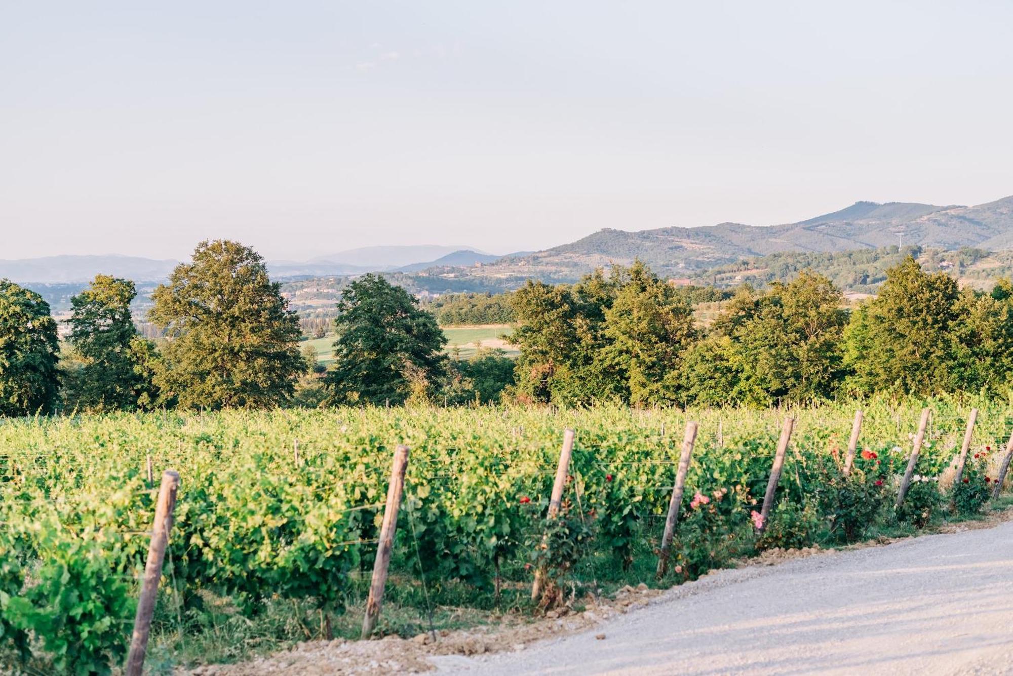 Borgo Siliano - Antico Podere Siliano Villa Città della Pieve Eksteriør billede