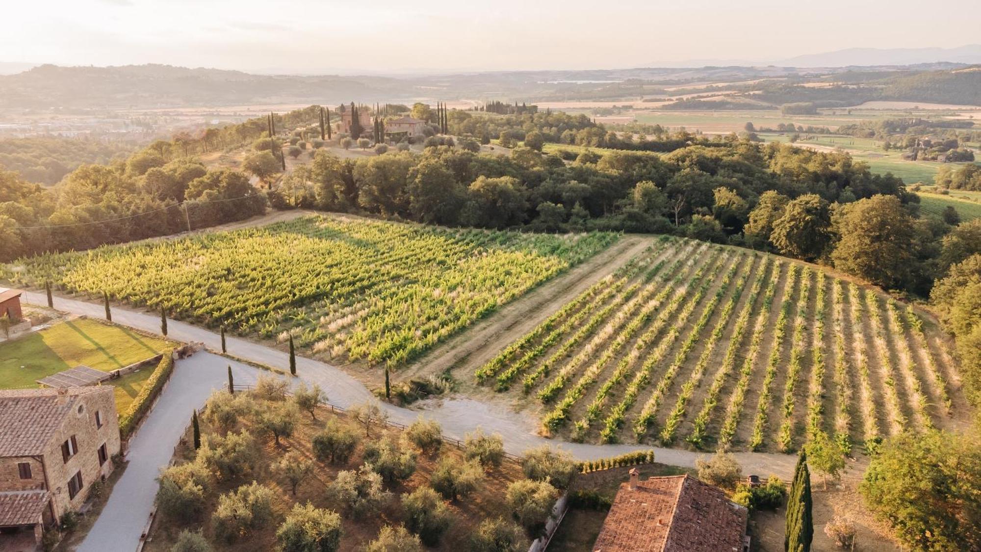 Borgo Siliano - Antico Podere Siliano Villa Città della Pieve Eksteriør billede